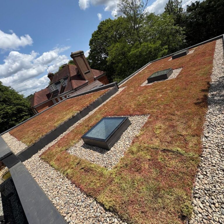 Single ply membrane and green roof system installed in record time3
